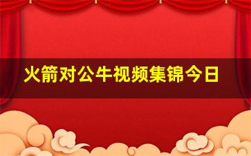 火箭对公牛视频集锦今日