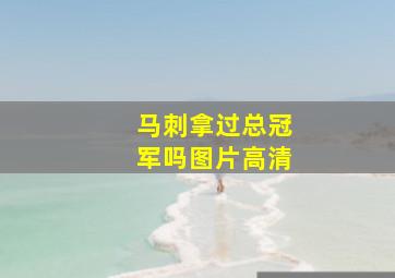 马刺拿过总冠军吗图片高清